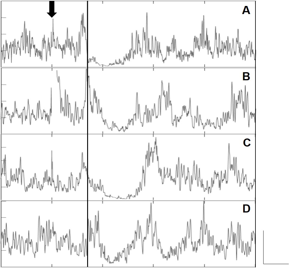 Figure 4.jpg